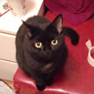 Meet your Posher, Nathalie